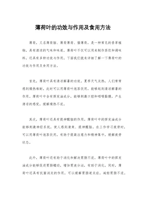 薄荷叶的功效与作用及食用方法