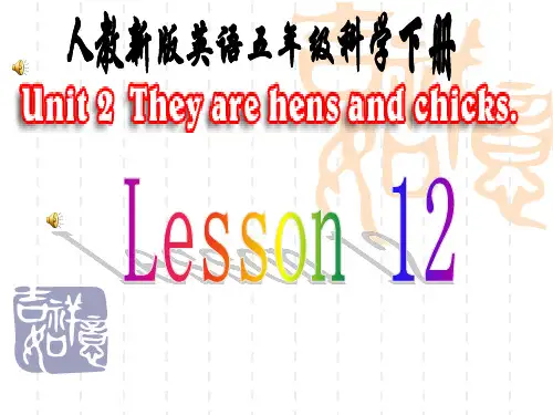 人教新版英语五年级下册《Lesson12》PPT课件