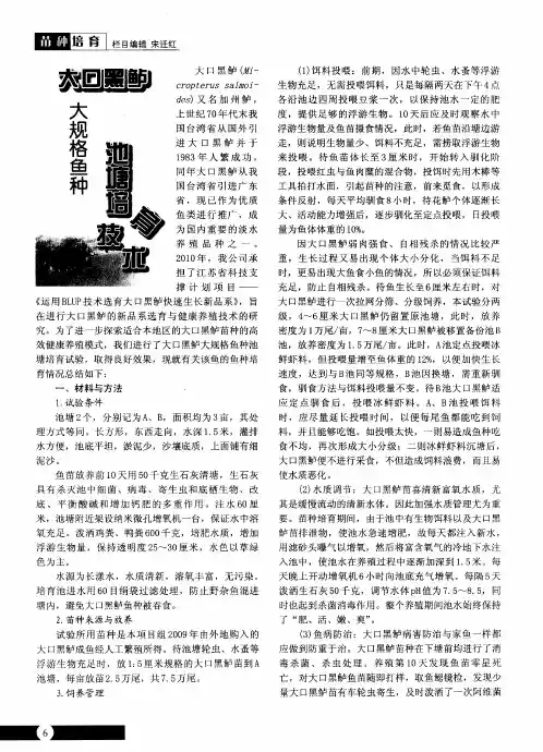 大口黑鲈大规格鱼种池塘培育技术