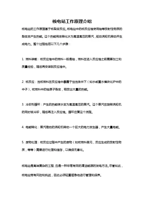 核电站工作原理介绍