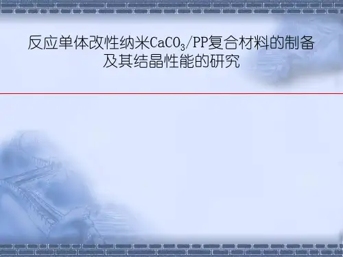 8纳米复合材料PPCa