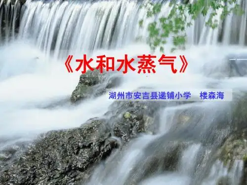教科版小学科学三年级下册第三单元《水和水蒸气》课件PPT