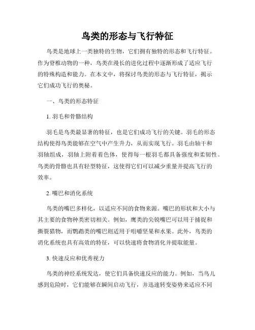 鸟类的形态与飞行特征