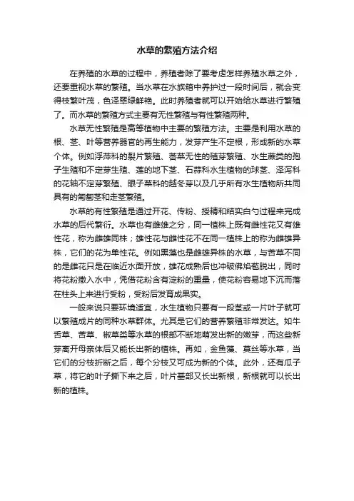 水草的繁殖方法介绍