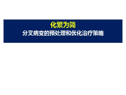 分叉病变预处理及优化策略通用版