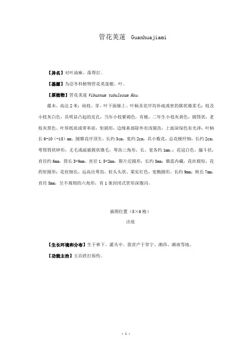 管花荚蒾