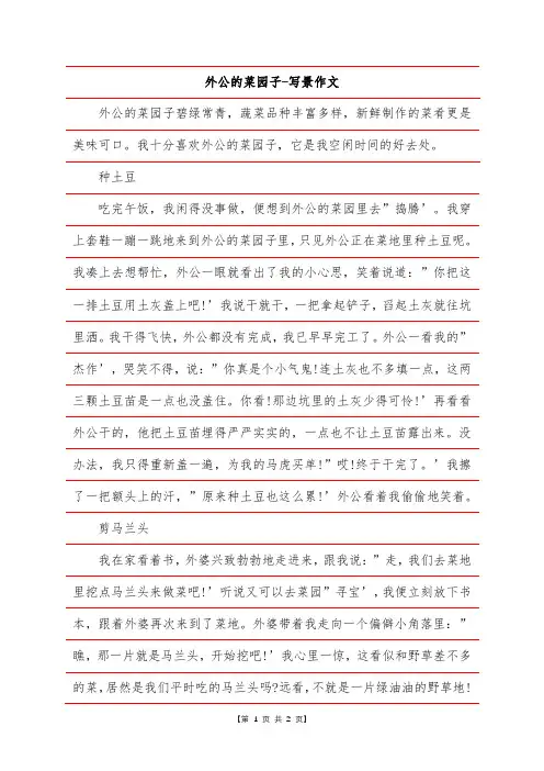 外公的菜园子-写景作文