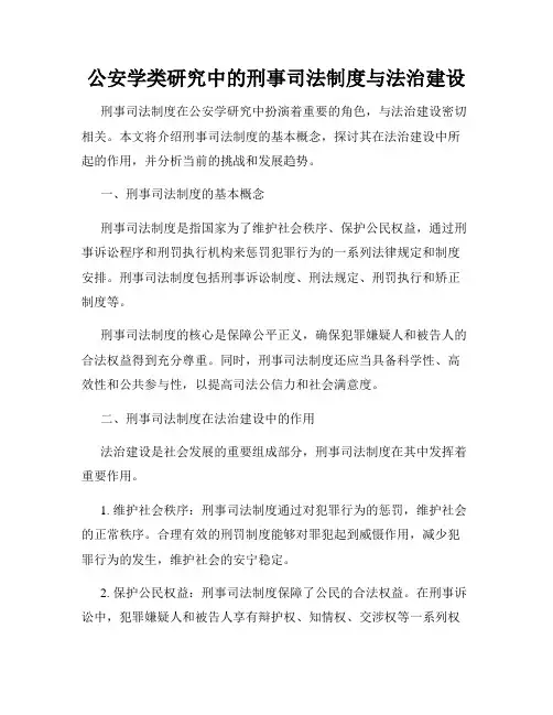 公安学类研究中的刑事司法制度与法治建设