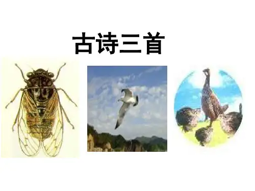 古诗三首(用)分析