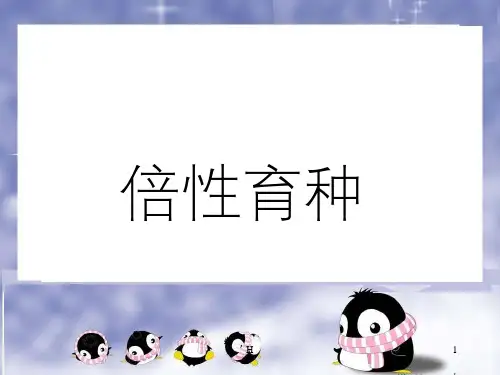 倍性育种课件