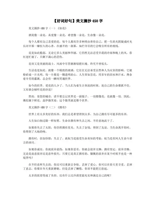 【好词好句】美文摘抄450字