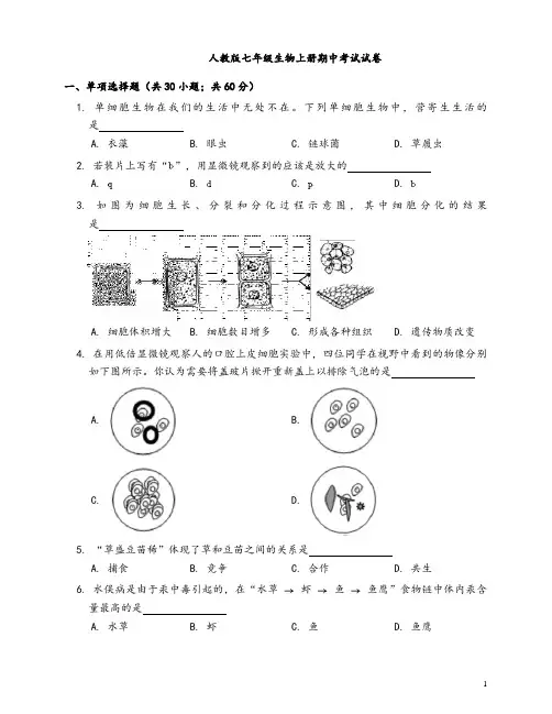 人教版七年级上册生物期中考试试卷(含答案)