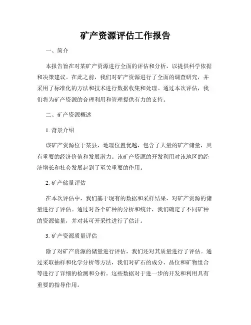 矿产资源评估工作报告