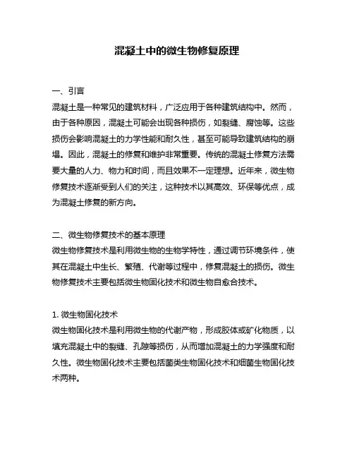 混凝土中的微生物修复原理