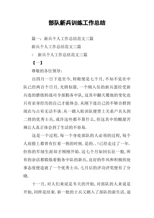 部队新兵训练工作总结