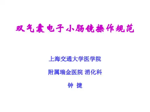 双气囊电子小肠镜操作规范 瑞金医院 钟捷