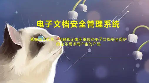 电子文档安全管理系统
