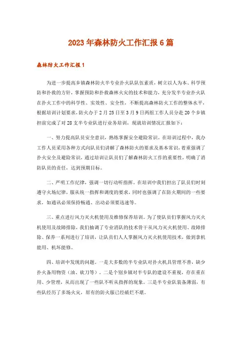 2023年森林防火工作汇报6篇