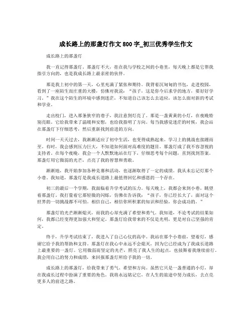 成长路上的那盏灯作文800字_初三优秀学生作文