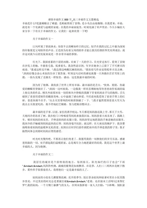 感悟幸福作文800字_高三幸福作文五篇精选