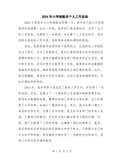 2024年小学报账员个人工作总结