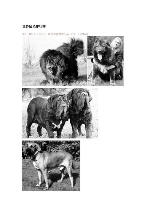 世界猛犬排行榜