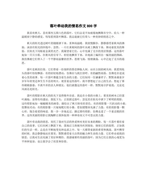 落叶牵动我的情思作文800字