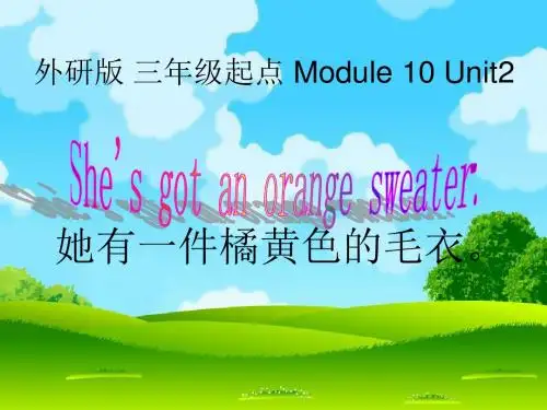 新外研版(三起)三年级下册Module 10《Unit 2 She’s got an orange sweater》ppt课件1