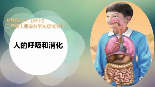 苏教版三年级上册科学第5单元  人的呼吸和消化  教材分析课件