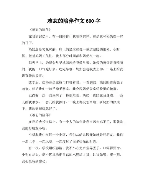 难忘的陪伴作文600字