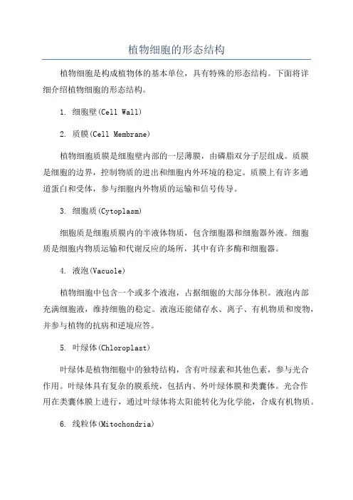 植物细胞的形态结构