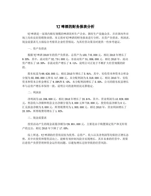YJ啤酒的财务报表分析