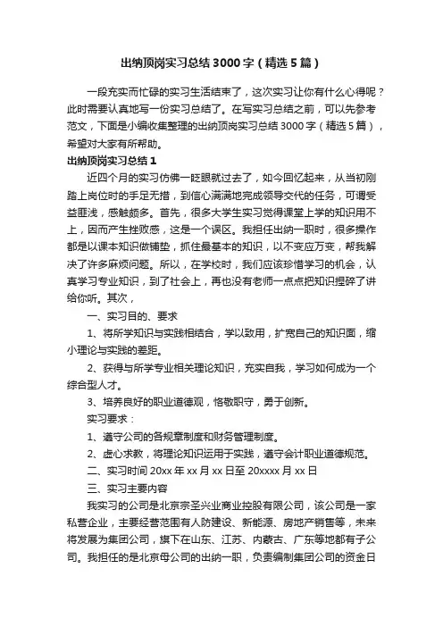 出纳顶岗实习总结3000字（精选5篇）