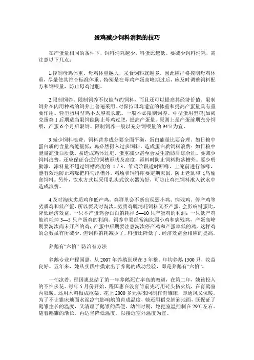蛋鸡减少饲料消耗的技巧