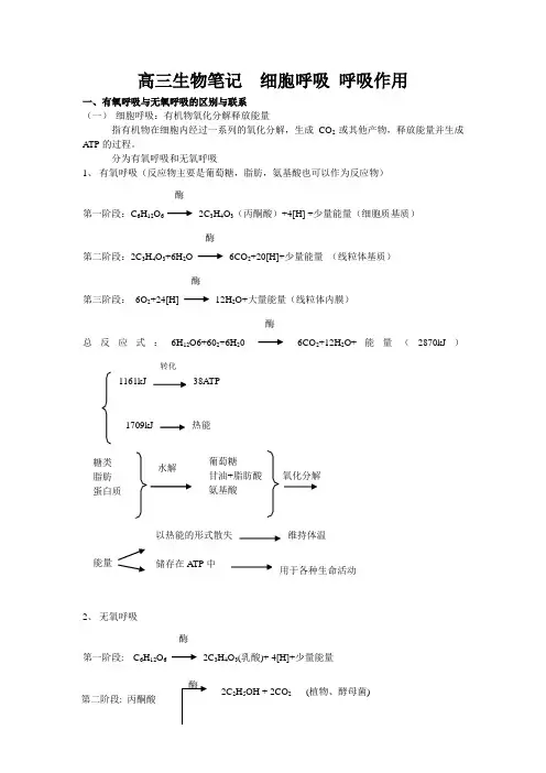 高三生物笔记  细胞呼吸 呼吸作用