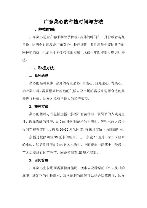 广东菜心的种植时间与方法