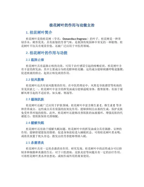 桂花树叶的作用与功能主治