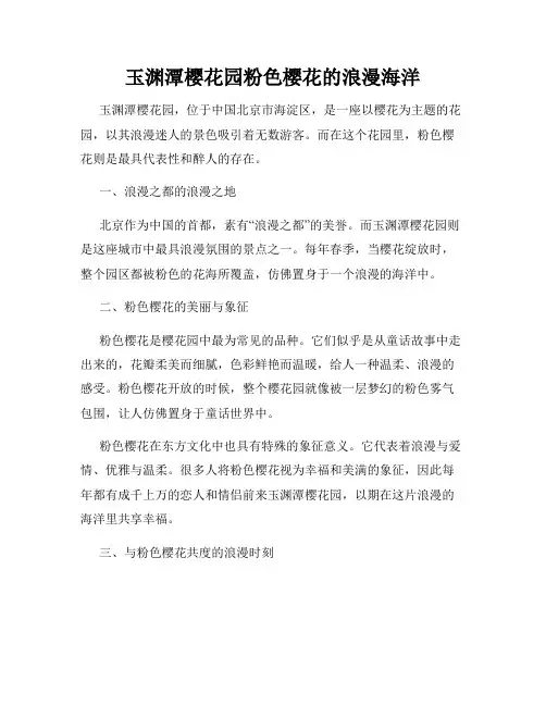 玉渊潭樱花园粉色樱花的浪漫海洋