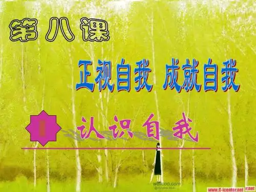 正视自我,成就自我综述