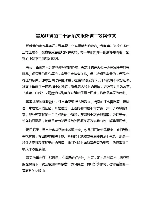 黑龙江省第二十届语文报杯省二等奖作文