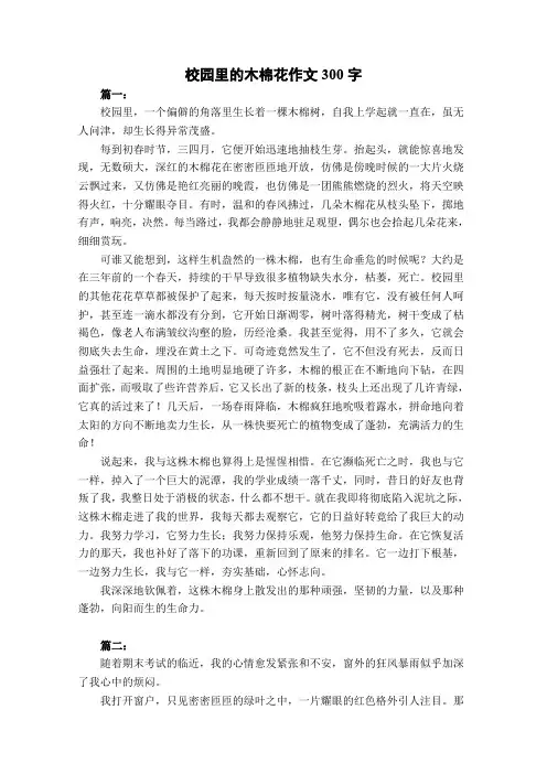 校园里的木棉花作文300字