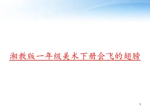 湘教版一年级美术下册会飞的翅膀 ppt课件