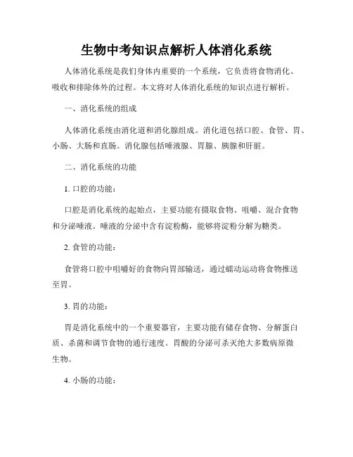 生物中考知识点解析人体消化系统