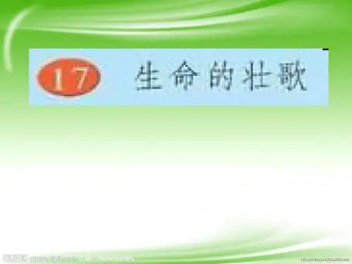 苏教版四年级下册《生命的壮歌》PPT课件1