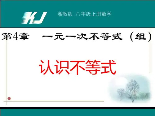 湘教版(2012)初中数学八上4.1 不等式 课件 