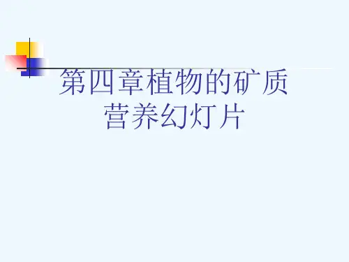第四章植物的矿质营养幻灯片