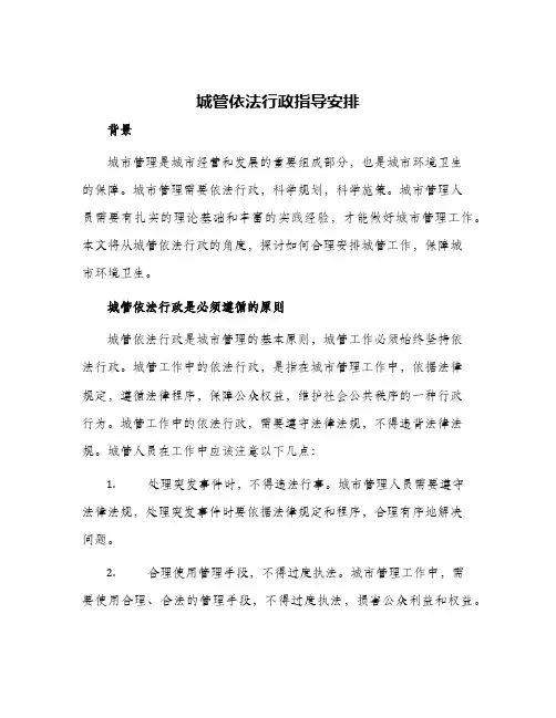 2024年城管依法行政指导安排