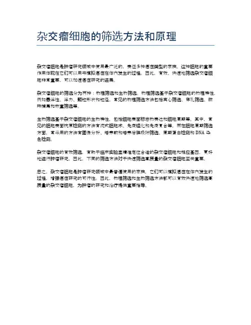 杂交瘤细胞的筛选方法和原理