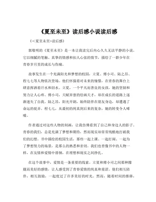 《夏至未至》读后感小说读后感