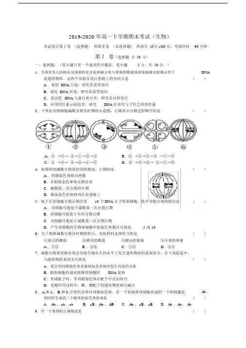 2019-2020年高一下学期期末考试(生物).docx